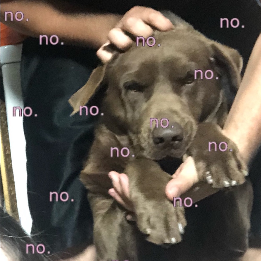 Meet your Posher, Andrea